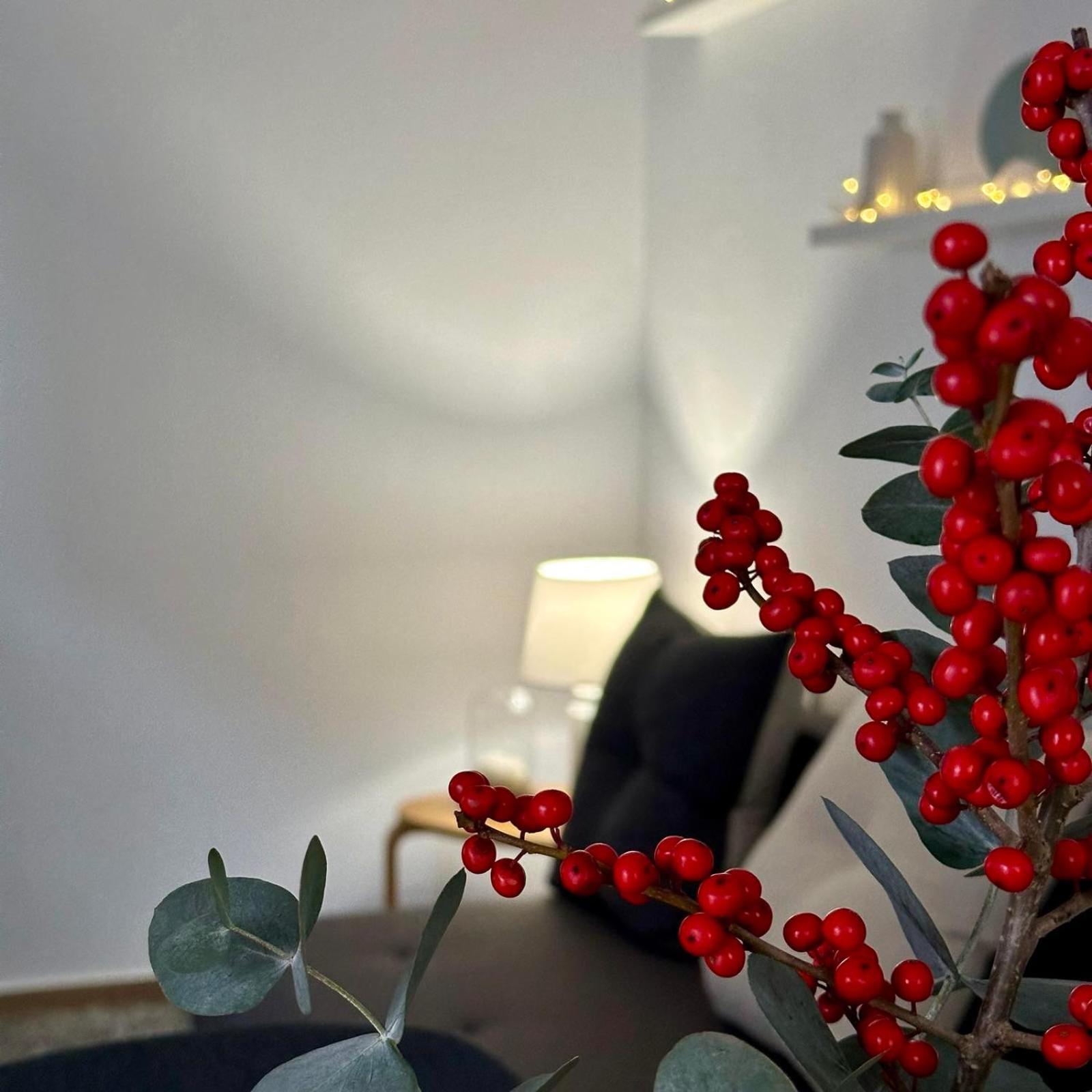 Sweet Home Retreat 2 Tríkala エクステリア 写真